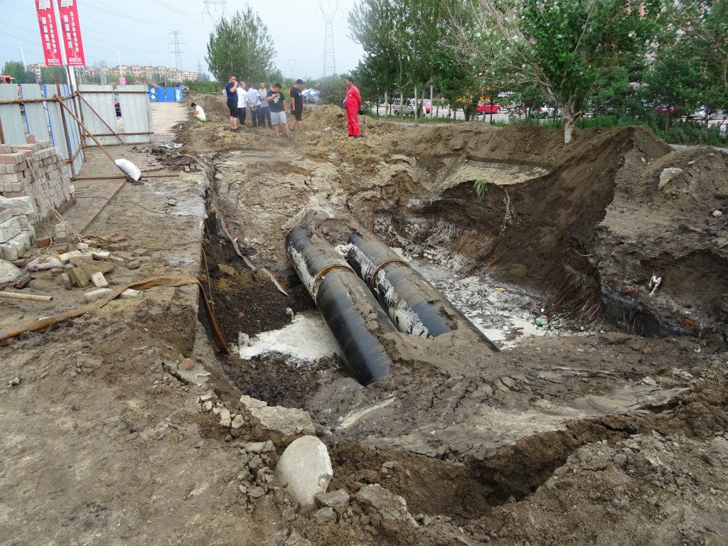 1501729094794744.jpg 11.jpg